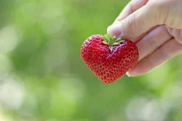 A female hand holds a strawberry heart of a green blurred background. Copy space