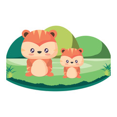 cute tigers in the grass over white background, vector illustration