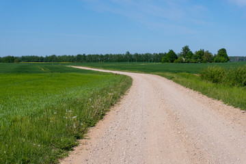 empty gravel road in the countryside in summer heat