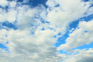 Beautiful blue sky and white fluffy cumulus clouds. Background. Landscape.