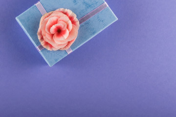 Violet background with blue gift box and pink begonia flower