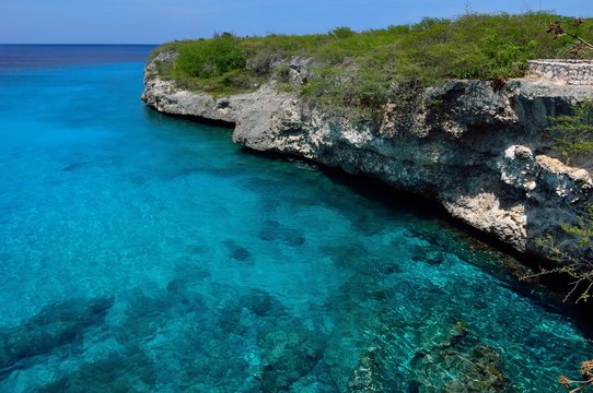 kenepa chiki Korsou  curacao