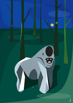 Monkey in the forest 