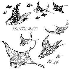 Manta ray and fish in the sea ,black and white stylized vector illustration