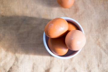Close of fresh chicken egg