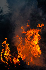 abstract fire flame dance on black background