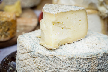 Organic farmers's goat cheese with mold