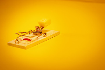 minimalistic yellow background with a mousetrap and a piece of tasty cheese