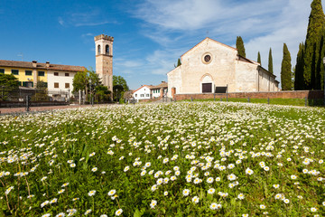 Corvado, Friuli, Friuli Venezia Giulia, Italia