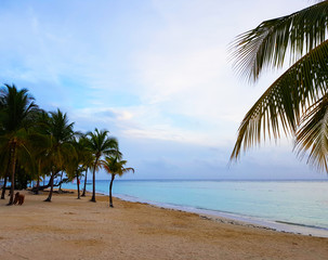 Weißer Sand und Türkises Wasser am Karibik Strand auf Jamaika