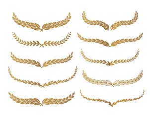 Gold laurel set vector
