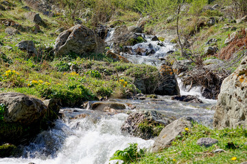 Landscape with a mountain river near the village Stepantsminda, Georgia, Europe, Caucasus, horizontal image