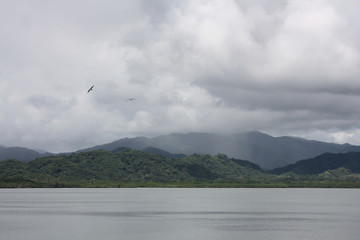 Cloud covered mountain range with birds and ocean