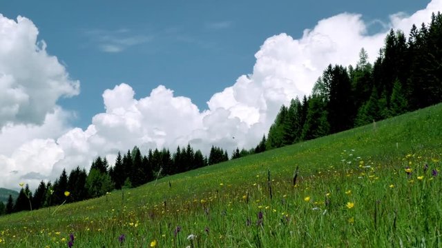 Alpenlandschaft