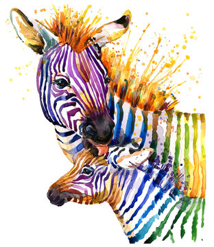 zebra illustration with splash watercolor texture. rainbow  background for fashion print, poster for textiles, fashion design