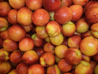 fresh delicious nectarines