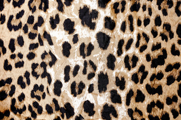 Modern stylish texture. The tiger cotton chintz.