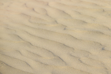 Blowing Sand on Beach Background