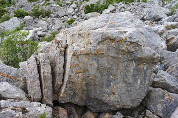 Geteilter Fels im Biotop Marocche, Trentino, Gardasee, Italien
