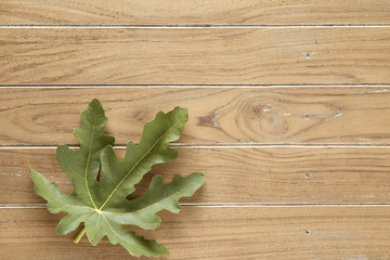 fig leaves on wooden background