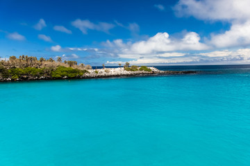 Crystal-clear turquoise water in the Santa Fe Island cove