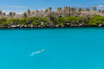 Man swimming with snorkel and paddles in crystalline water of turquoise tone