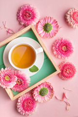 Fototapeta na wymiar Spring flowers and tea cup isolated on a pink background. Gerbera daisy flower petals viewed directly from above. Top view