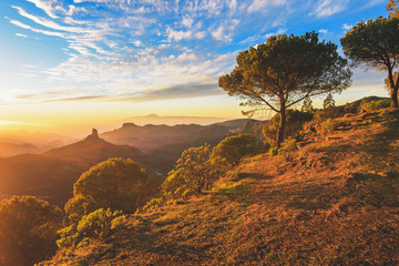 Landscape of an incredible sunset in the mountains of the Canary Islands. with its forests, valleys and trees. - obrazy, fototapety, plakaty