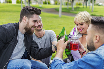 Groups of friends toasting, partying in the park