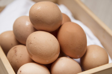 Many eggs are on wooden boxes.