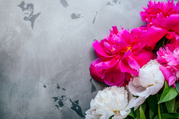 Beautiful fuchsia and white peony flower bouquet on the grey concrete background. Closeup, flatlay style.