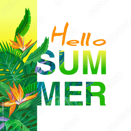 Hello Summer Vector Banner Design With Tropical Palm Leaves