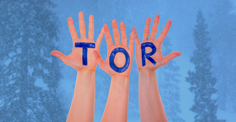 Hands With Tor Means Goal, Winter Forest