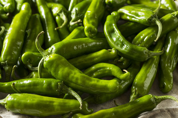 Raw Green Organic Shishito Peppers