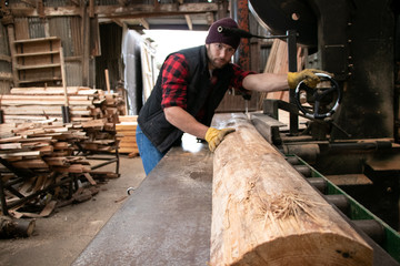 Handsome male lumberjack mills wood with band saw