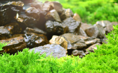 Landscape design background for your inscription