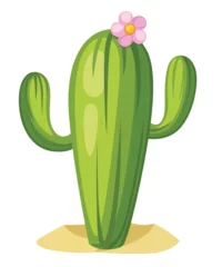 Foto op Canvas Green cactus with pink flower. Large cactus tree in desert. Cartoon vector illustration isolated on white background © An-Maler