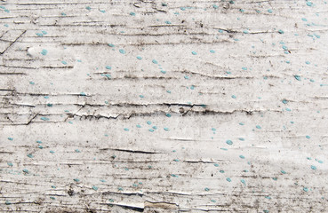 Texture of dirty wood with white cracked paint