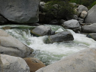 Fluss Sequoia