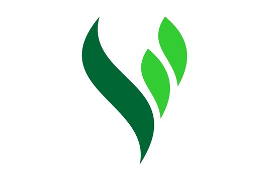 letter v green leaf concept logo