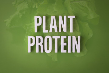 Plant protein sign lettering