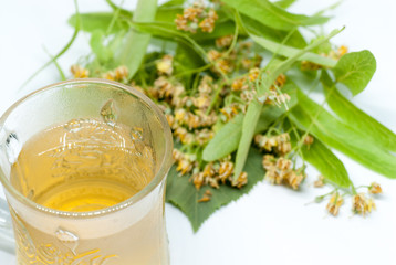 cup with linden tea and linden flowers on white homeopathy sleep disorder remedy concept