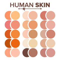 Skin Human Vector. Various Body Tones Chart. Realistic Texture Palette. Illustration