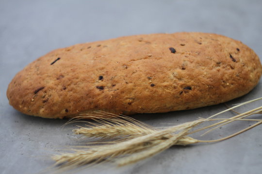 grain bread on a gray background