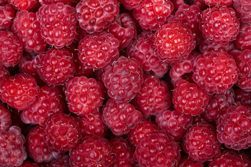 Background of a beautiful fresh raspberry. Healthy food. Vegetarianism.