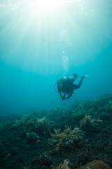 Female scuba diver in beautiful blue tropical underwater