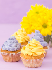 Cupcakes decorated with yellow and violet cream and chrysanthemums on violet pastel background for greeting card with copyscape.