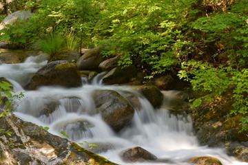 The Soft Stream