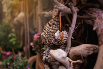 A composition of seafood, fish tail, shell, jug and much more.