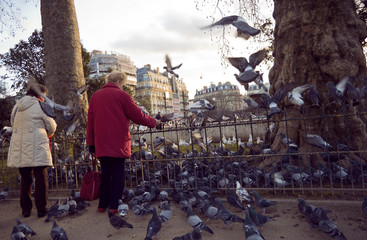 Fototapeta premium Paris